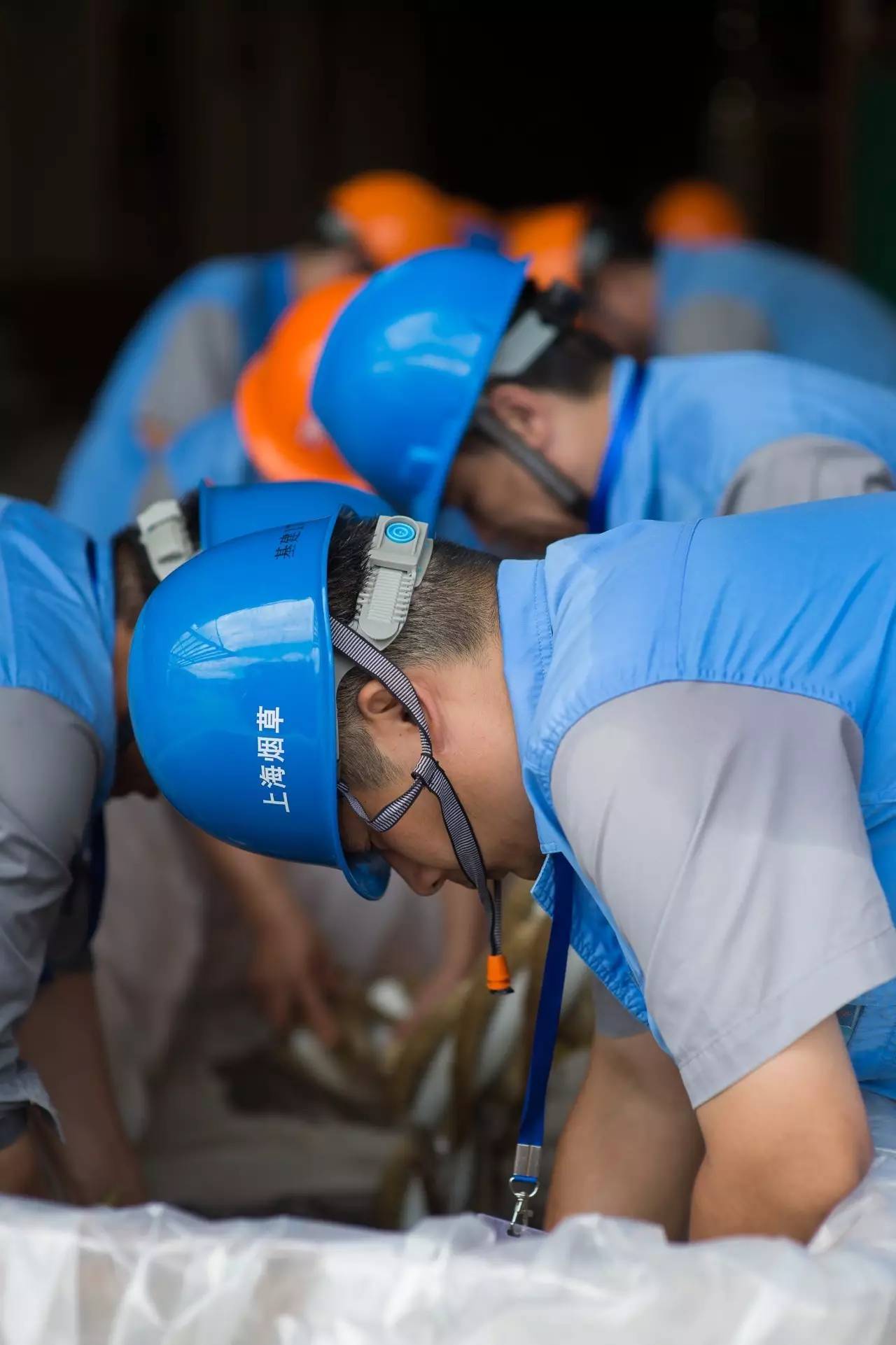 关于游泳赔率刷新纪录，竞猜热度飙升的信息