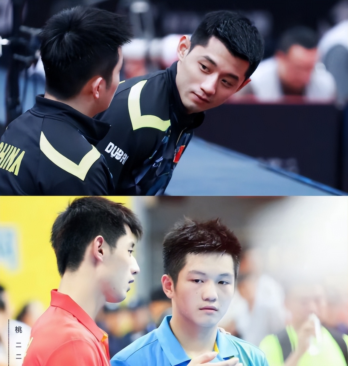 波兰队绝杀法国队，张继科统治全场