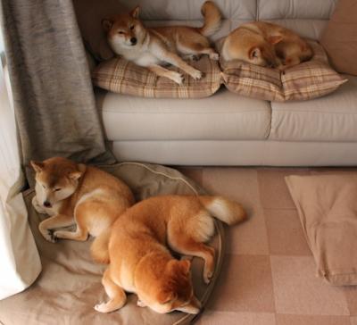 铁壁南粤锁丹佛，天神降世定乾坤，文班亚马东决G7狂揽40+20封神