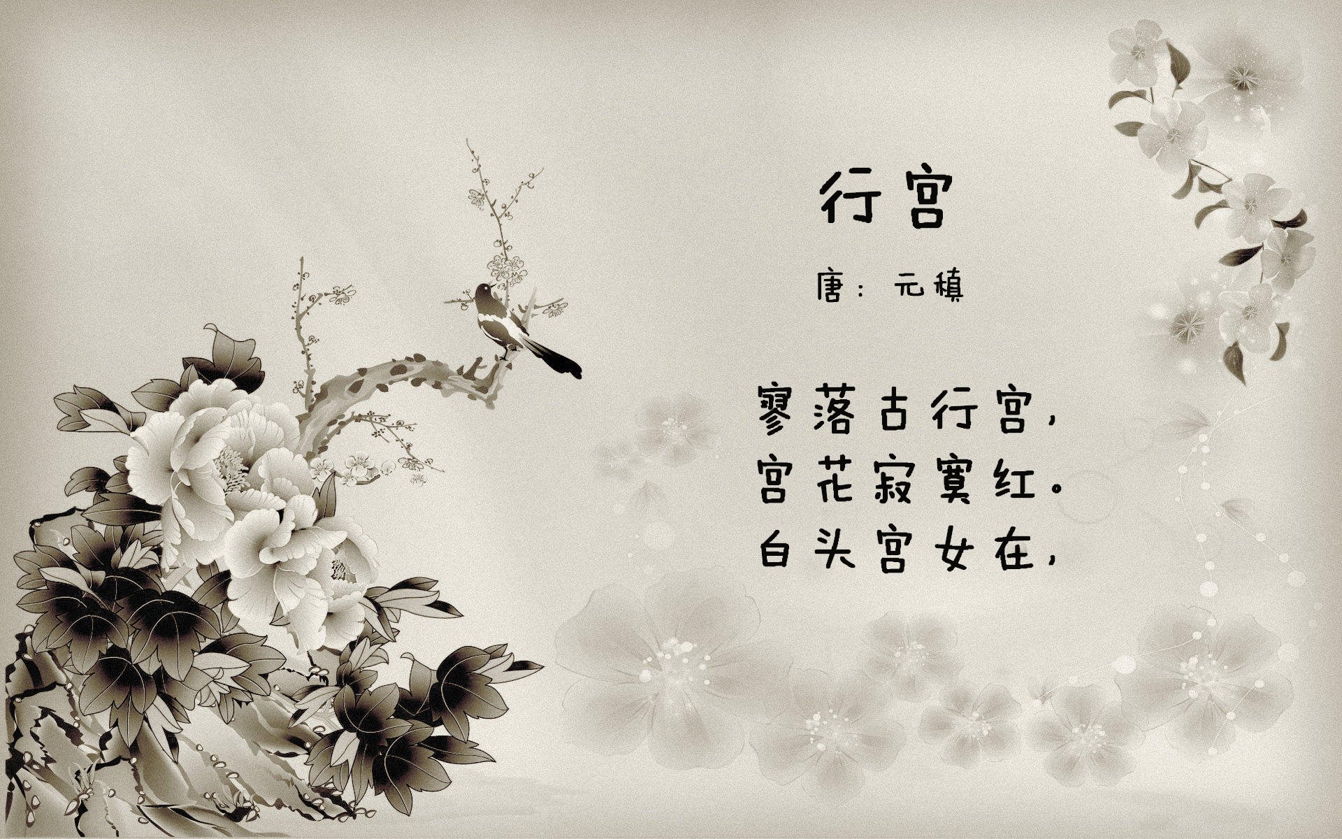 当他走向方向盘时，全世界都笑了—直到第一个弯道