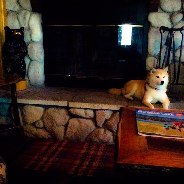 当荷兰橙衣军团遭遇切尔西式的战术布局，一场关于节奏的全球对话