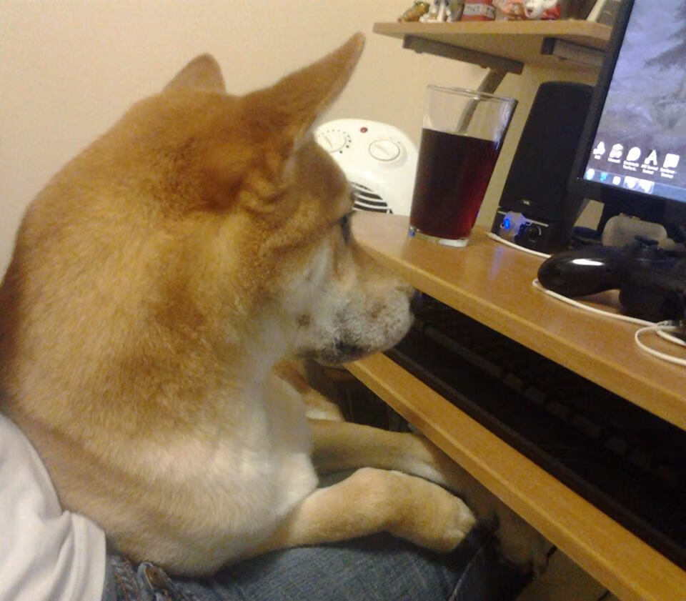 教科书级攻防与战略棋局,伦纳德率步行者力克76人,昭示冠军雄心