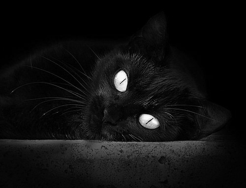 布伦森独舞纽约,山西队绝地逆袭—篮球场上的掌控与奇迹