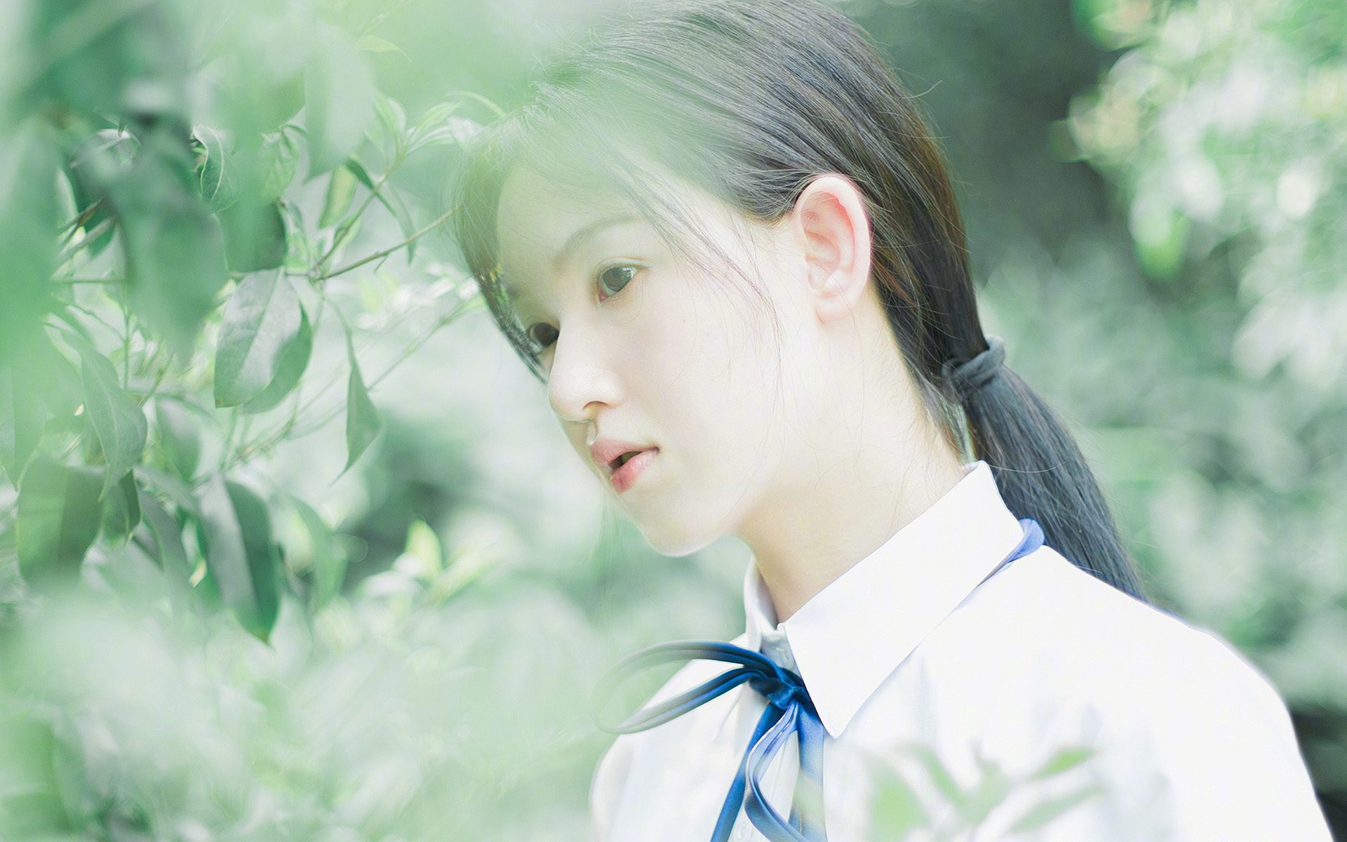 爱游戏APP-紫百合的节奏诗篇，当克罗地亚琴弦拨动亚平宁