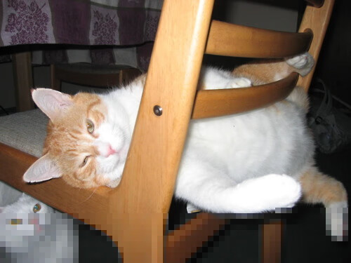 掌心纹路收割胜负,坎特的掌控与贝蒂斯的致命一击