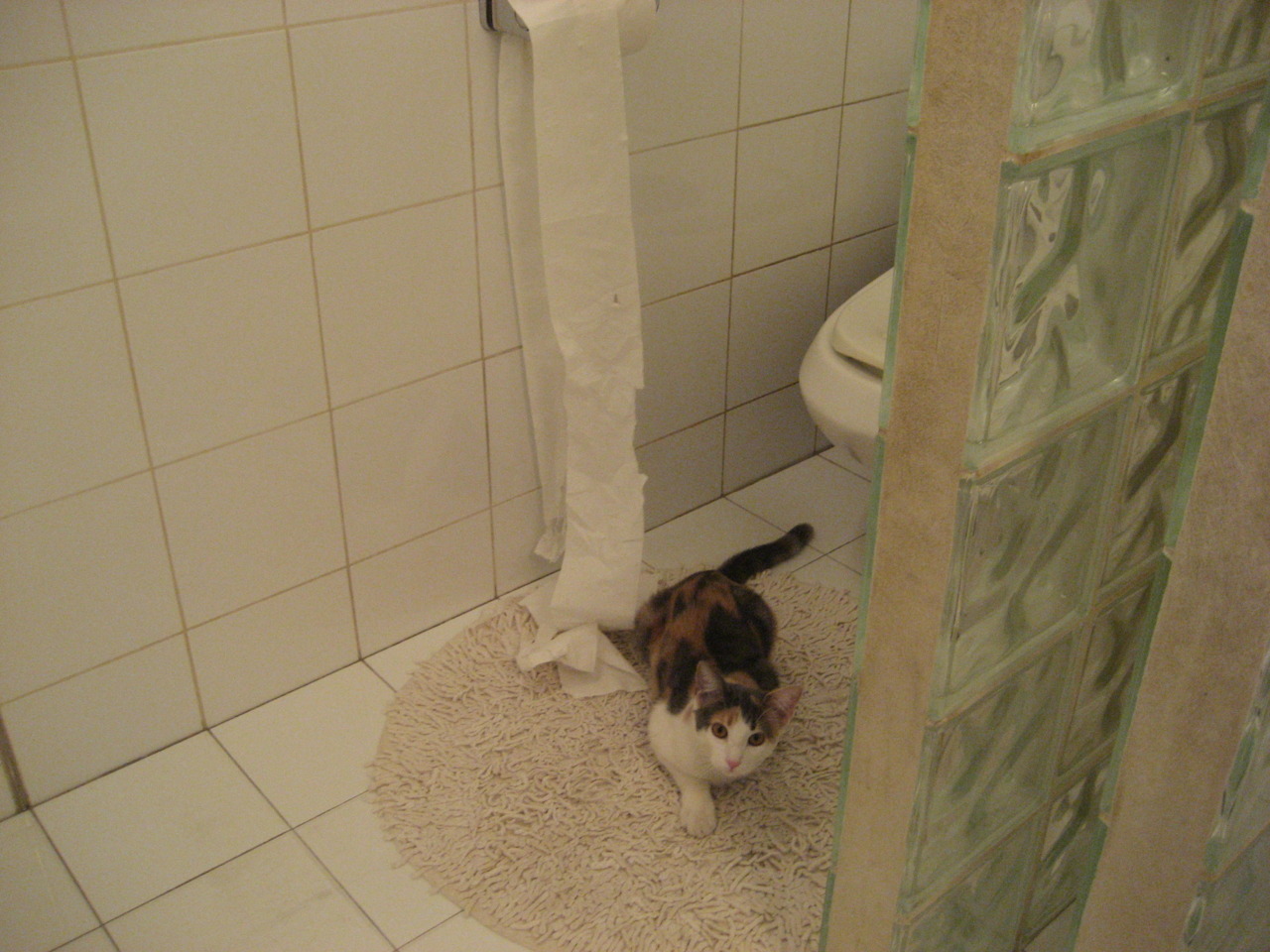 教科书式定义,阿尔瓦雷斯如何用一场虚构的胜利诠释现代中锋