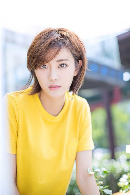 钢铁防线与沙漠弯刀,当金玟哉成为第三国的战争策源地