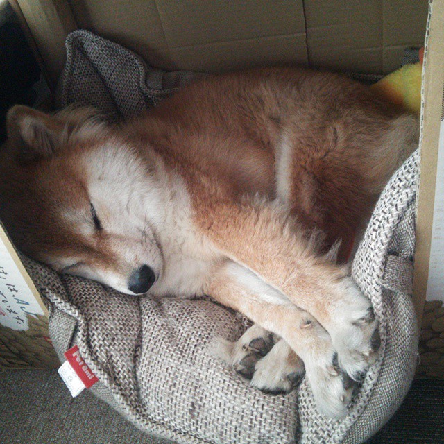 舞台与疆界,绿茵场上,何以永恒强大?