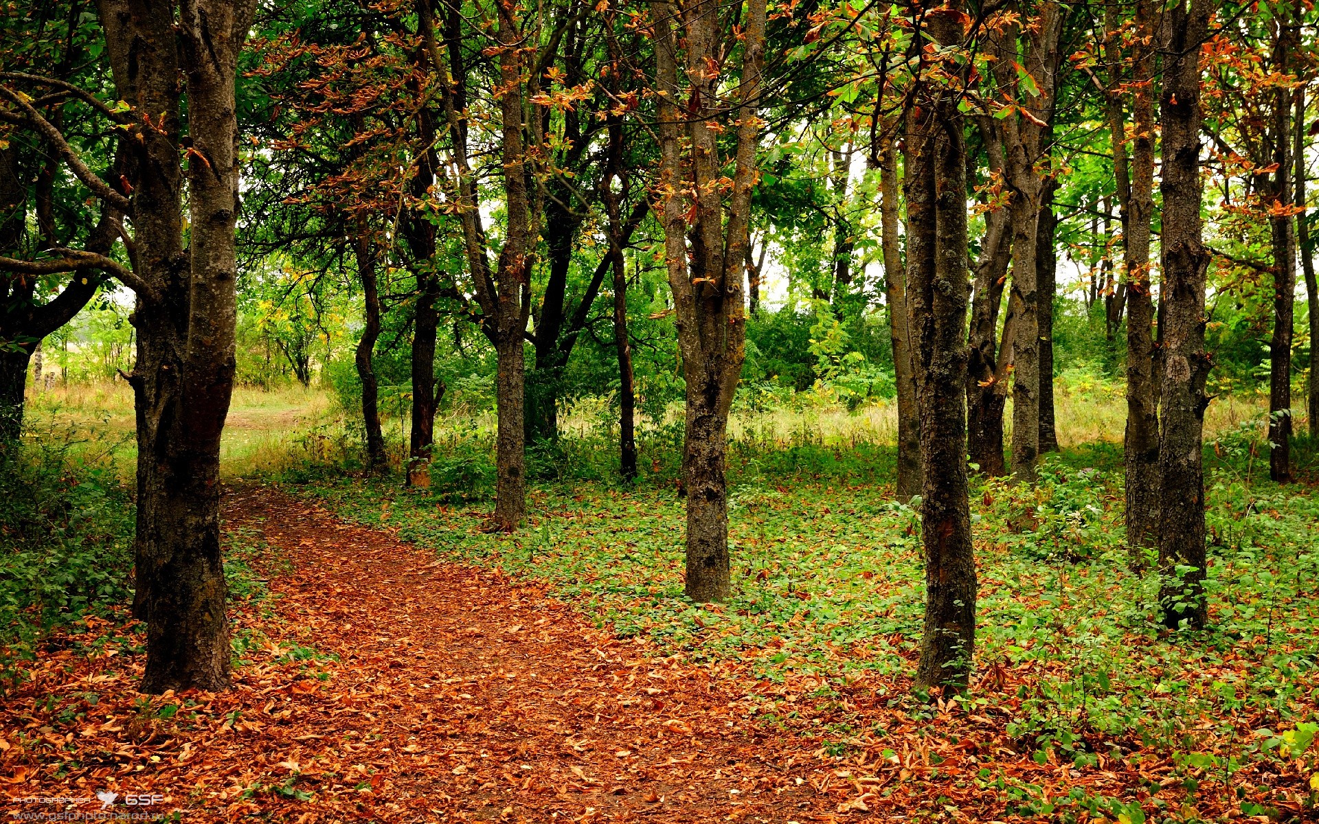 1.8秒绝杀，西决生死战上演双城奇迹