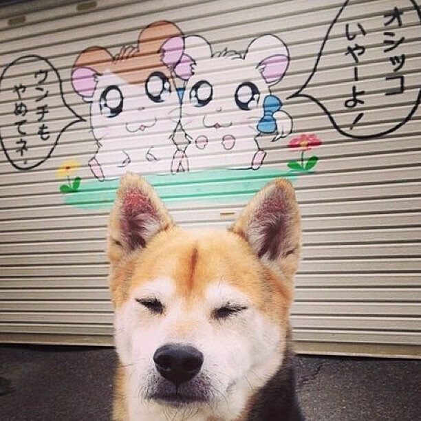 唯一性解析,东决关键战背后的战术碾压—马里如何屠戮洪都拉斯体系