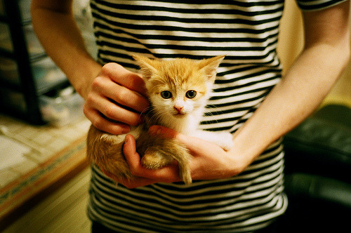 篮筐之外,弧线之中,当塔图姆在欧冠淘汰赛划出雷霆弧线