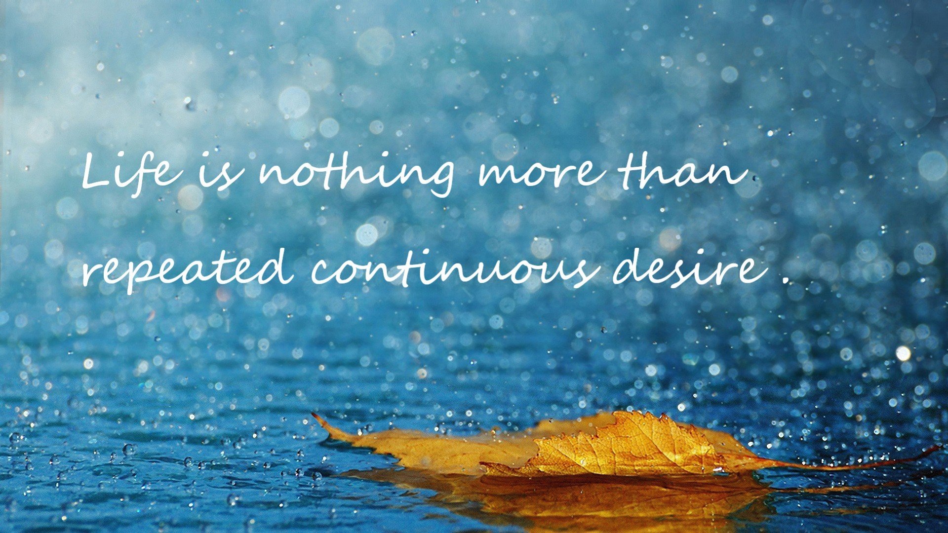 非洲风穿过丹麦童话，萨内一击撕裂北欧堡垒