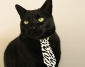 唯一性的胜利，从篮球场到F1赛道，上海队与班凯罗的统治时刻