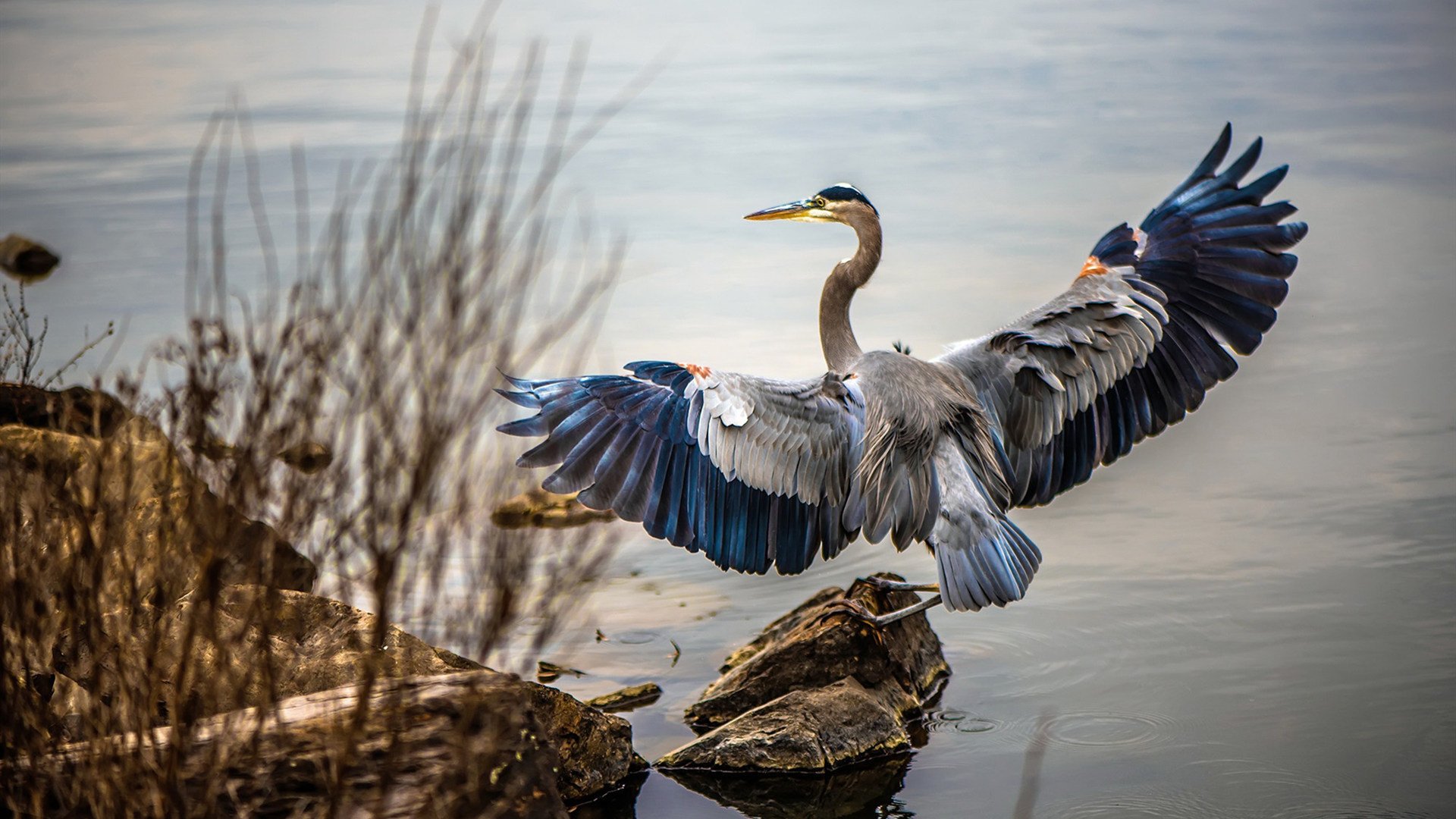 爱游戏大厅-时空交错下的篮球诗篇，当辽宁飞豹压哨撕裂汽车城