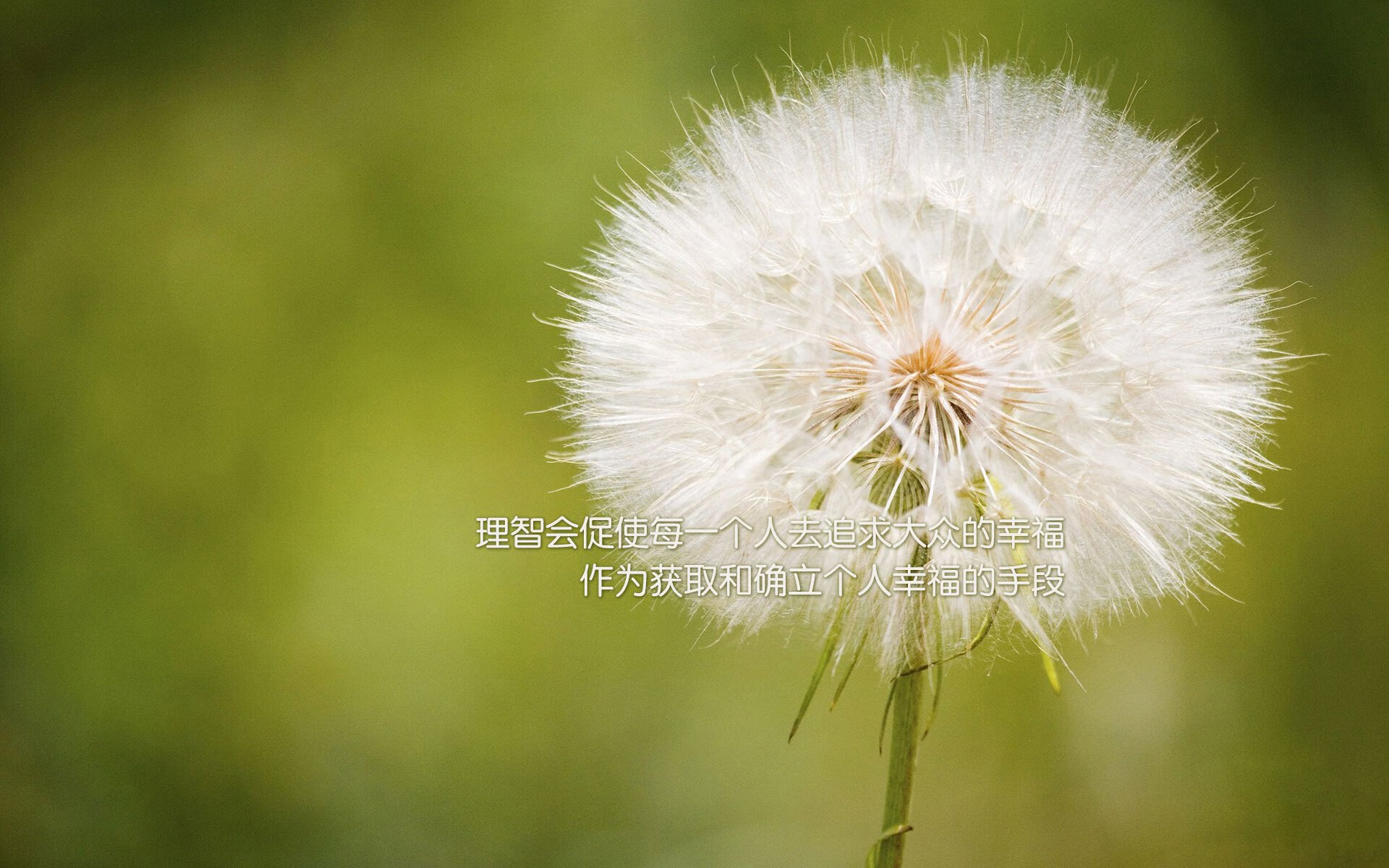 孤勇者的凯旋，2026生死战，坎塞洛一剑封喉，葡萄牙完胜加拿大