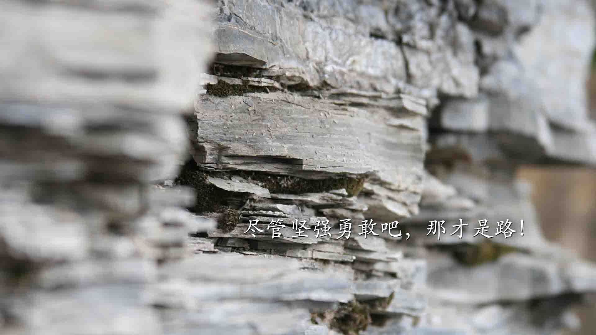 唯一性的瞬间，2026世界杯B组，波兰险胜厄瓜多尔，维尼修斯的致命一击与进攻的极致美学
