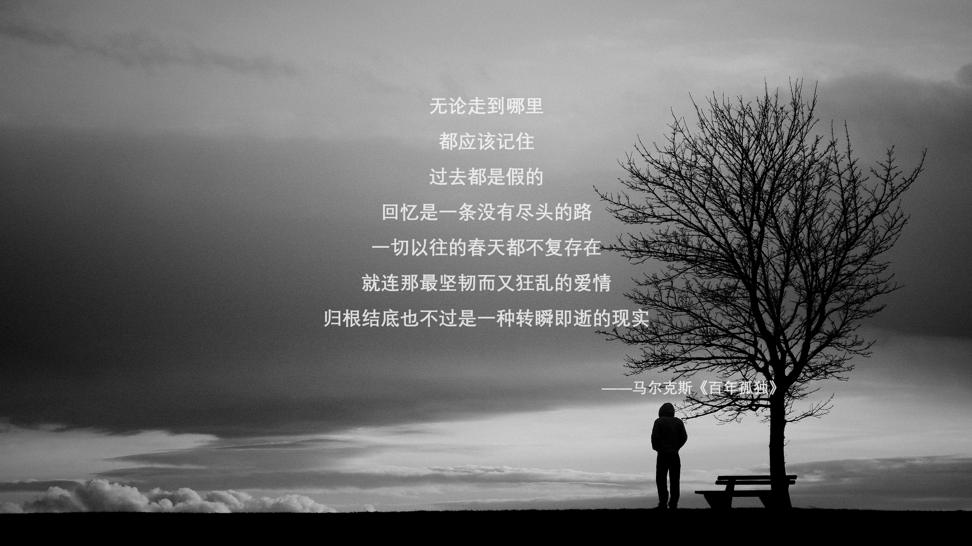 血与火的绿茵，2026世界杯H组，美国险胜伊朗，托纳利一剑封喉
