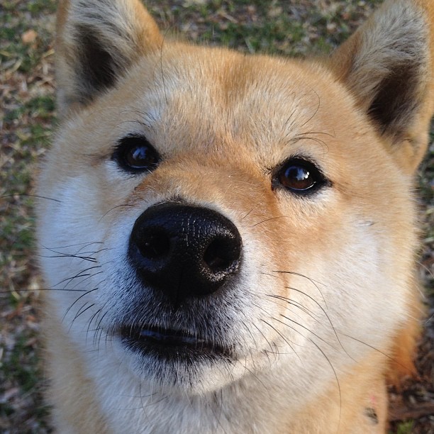 这是一篇关于唯一性的体育科幻题材文章。我为你创作了一个带有宿命感和戏剧张力的标题,以及完整的正文