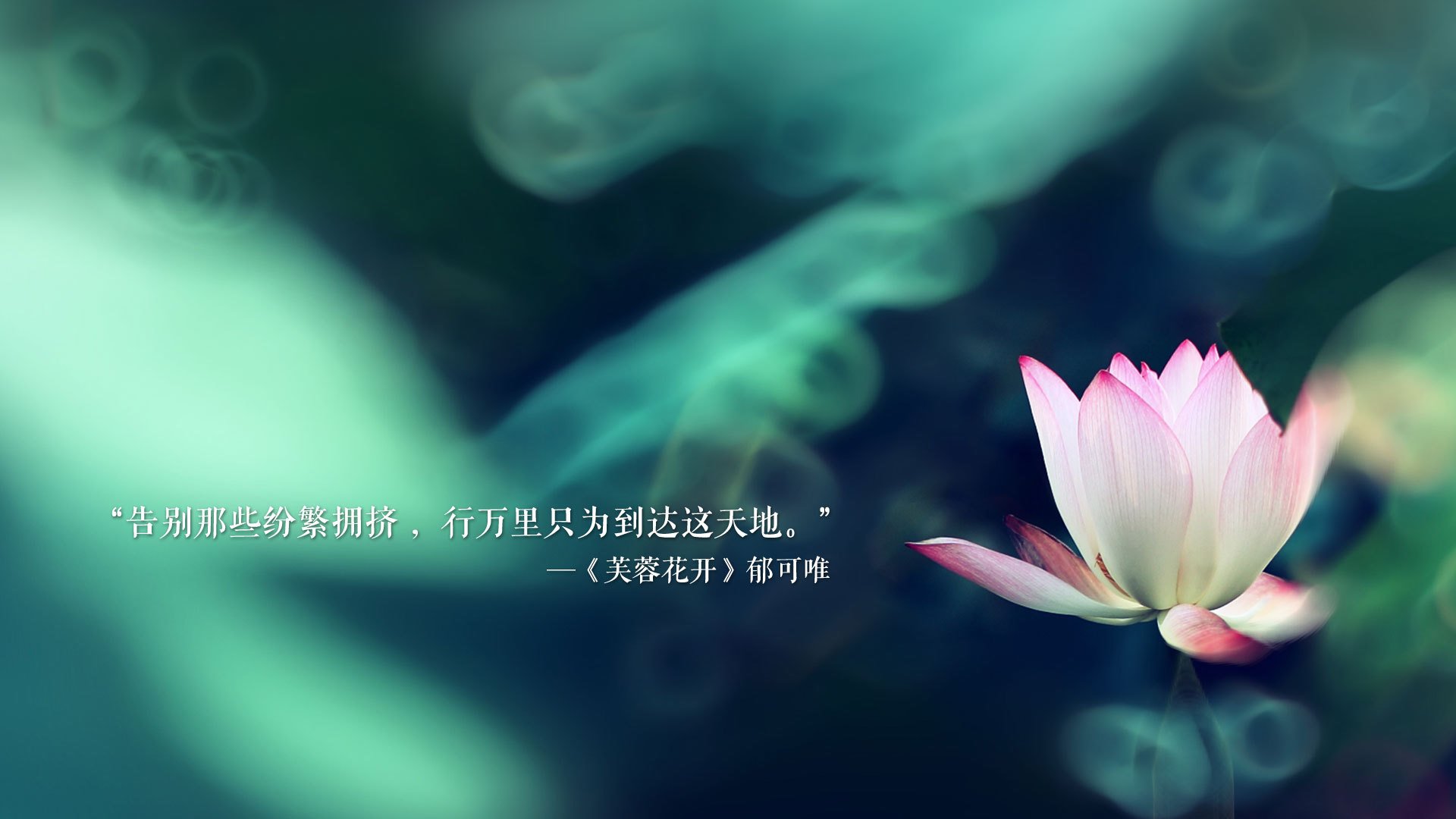 那个唯一的夏天,2026,当C罗的最后一舞,撞见三笘薰的东方魔法