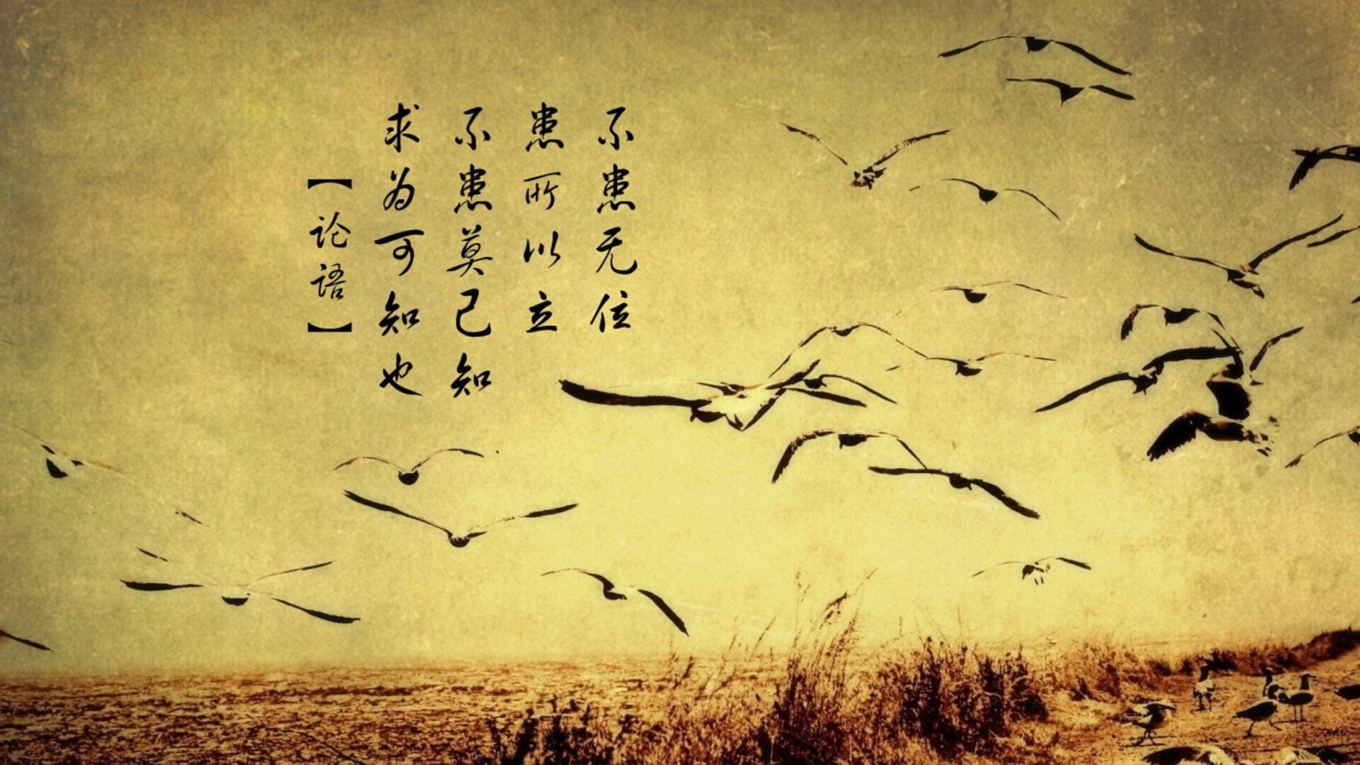 中亚旋风席卷欧洲,乌兹别克斯坦的2026世界杯奇迹之夜