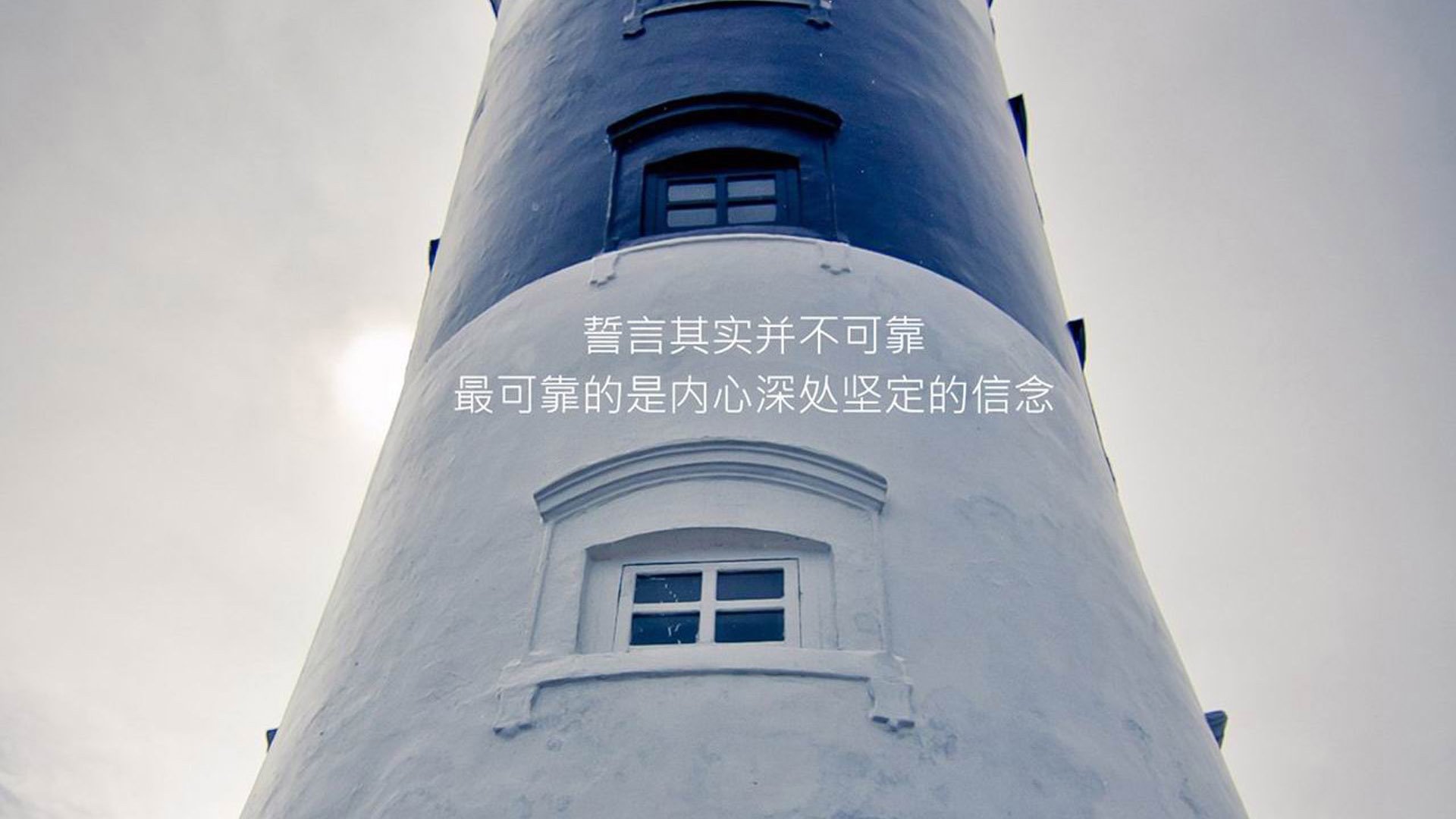 命运逆转之夜，卢卡库独造三球，喀麦隆绝地反击击碎厄瓜多尔晋级梦